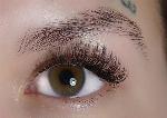 no_logo