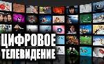 no_logo