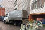 no_logo