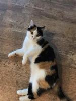no_logo