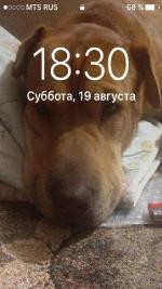 no_logo